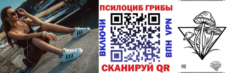 Галлюциногенные грибы Psilocybine cubensis  Купить закладки  Зея 