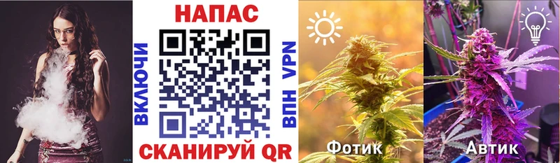 Бошки марихуана OG Kush  Купить  Зея 